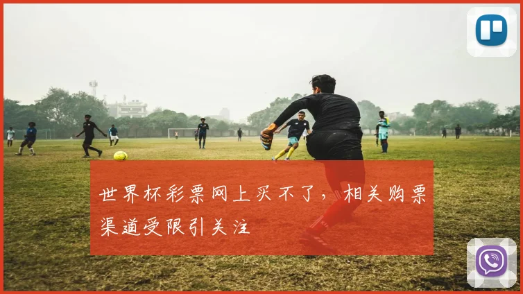 世界杯彩票网上买不了，相关购票渠道受限引关注