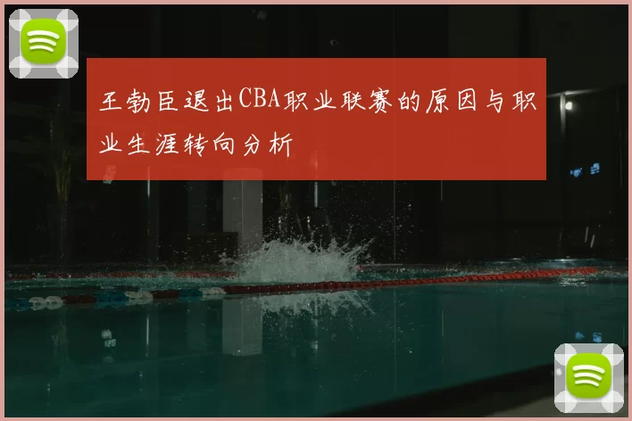 王勃臣退出CBA职业联赛的原因与职业生涯转向分析