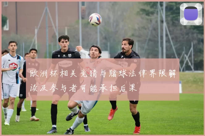 欧洲杯相关竞猜与赌球法律界限解读及参与者可能承担后果