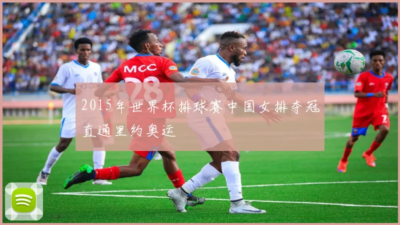 2015年世界杯排球赛中国女排夺冠直通里约奥运