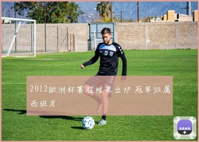 2012欧洲杯赛程结果出炉 冠军归属西班牙